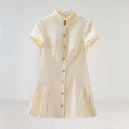 Chic Button Down Pleated Mini Dress