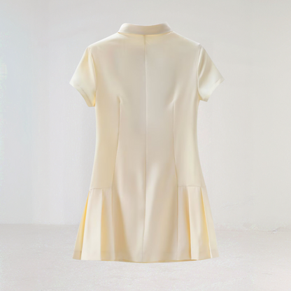 Chic Button Down Pleated Mini Dress