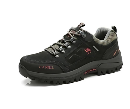 ﻿Explorer - Innovative Walking Shoes